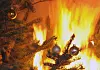 Bei Hamburg: Tannenbaum brennt – zwei Bewohner verletzt in Klinik