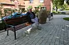 Ortsbürgermeister Günter Meyer (CDU) sitzt auf einer Bank in Wipshausen.