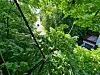 Memmelsdorf im oberfränkischen Landkreis Bamberg hat als eine der ersten Gemeinden in Deutschland eine Brücke nur für Eichhörnchen eingerichtet.