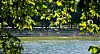 Das Freibad Stadtparksee