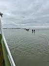 Die Seenotretter mussten 25 Wattwanderer vor Amrum retten.