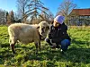 Hilal Sezgin mit Schaf Alma