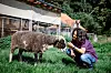 Hilal Sezgin mit Schaf Joylein