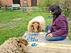 Hilal Sezgin mit Schafen