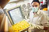 Junior Sous Chef Lukas Röhr (33) holt Kartoffeln aus dem Kovektomaten. Die Bio-Kartoffeln kommen von einem Hof in Schleswig-Holstein, der sie bereits schält.