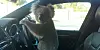 Ein Koala hockt im Wagen von Nadia Tugwells Fahrzeug auf dem Lenkrad.