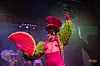 Ein Künstler auf der Bühne des Pulverfasses