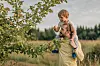 Ein kleiner Junge pflückt einen Apfel von einem Baum, während er bei einem Mann auf den Schultern sitzt