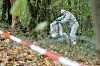 Dioxin-Skandal im Naturschutzgebiet Boberger Niederung: Bald starten die Sanierungsarbeiten.
