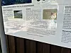 Infotafel Naturbad Kiwittsmoor