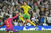 Norwich-Stürmer Josh Sargent bemühte sich in den Aufstiegsspielen vergebens um Tore.