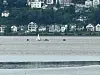 Ein plötzlicher Windstoß brachte die Jolle auf der Elbe vor Hamburg-Blankenese zum Kentern.