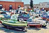 Fischerboote im Hafen der italienischen Insel Favignana.