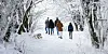 Wanderung im Schnee (Symbolbild)