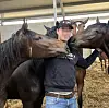Hamburger Unternehmer in Treppehaus in der Neustadt hingerichtet – Zuletzt engagierte er sich im Reitsport