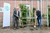 DESY-Direktor Helmut Dosch und Hamburgs Umweltsenator Jens Kerstan pflanzten am Freitag symbolisch eine Waldrebe und eine Kiwi.