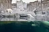 Die beiden Eisbären Victoria und Kap im Eismeer des Tierparks Hagenbeck in Hamburg.