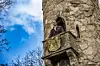 Burg Henneberg