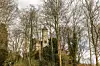 Burg Henneberg Wald