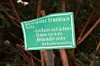 Ein Schild der Friedhofsverwaltung weist darauf hin, dass die Rasenfläche des Urnenhains nicht betreten werden darf.