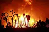 Waldbrand