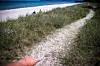 Die Gespinstnester liegen teilweise direkt auf den Trampelpfaden zum Strand.