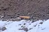 Solche Behälter wurden auf der Baustelle gefunden.