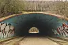 Der Tunnel unter der Autobahn bietet einen durchaus reizvollen Kontrast zur Natur.