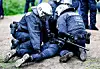 Neuer Inhalt (19)