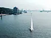 Sieht doch fantastisch aus, oder? Die „Zaandam“ auf der Elbe