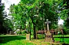 Alter Friedhof Harburg