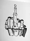 Auch Eigenes zeichnet Yebo – wie diese Mittelfinger zeigende Skeletthand.