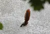 Neuer Inhalt (2)