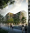 Moringa HafenCity