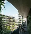 Moringa Fassade