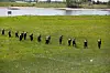 Mehrere Polizisten suchen in Kirchwerder nach Hinweisen in einem Raubüberfall.