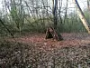 Neuer Inhalt (19)