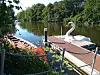 Anleger Wilhelmsburg
