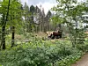 Neuer Inhalt (21)