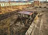 _QUA5590
