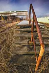 _QUA5597