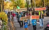 Initiative Sternbrücke demonstriert gegen die Abholzung der Bäume für den geplanten Brückentransport.