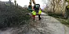 Die Bäume an der Alster müssen einen größeren Bauprojekt weichen.