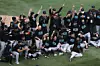 Miami Marlins
