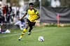Alexander Isak im Trikot des BVB