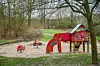 Neuer Inhalt (4)