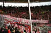 GYI_1209479203