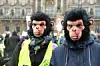 Verkleidete Affen Demo