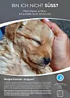Diese Plakate sollen zukünftige Hundeeltern davon abhalten, Welpen aus dem illegalen Handel zu kaufen.
