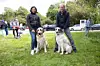 Birgit und Thorsten Koop sind leidenschaftliche Tierschützer.